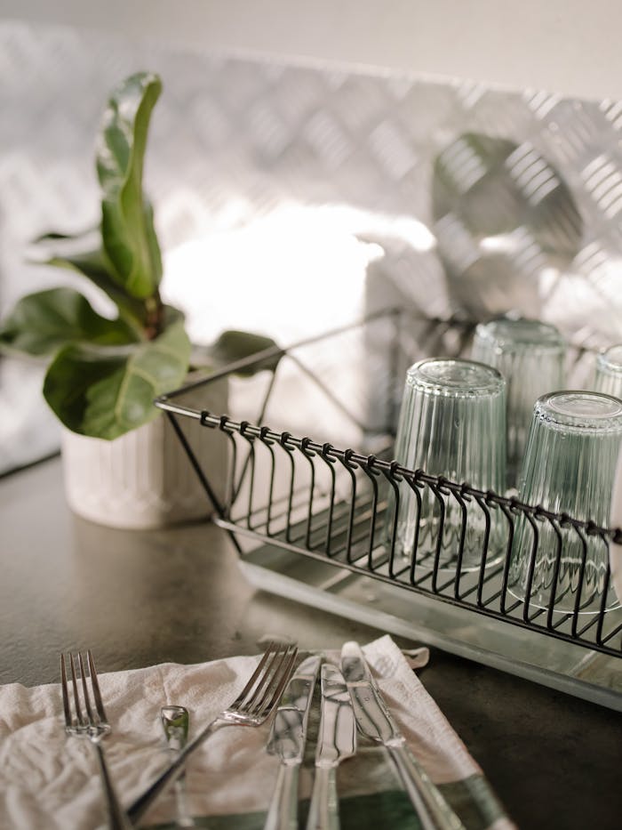 Green Plant on White Metal Rack